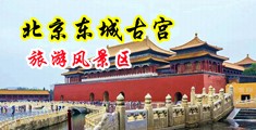 美女在线被日视频中国北京-东城古宫旅游风景区